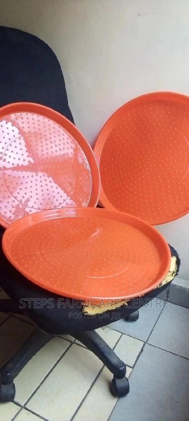 Chick Feeding Trays -40 Cm Diameter - main view
