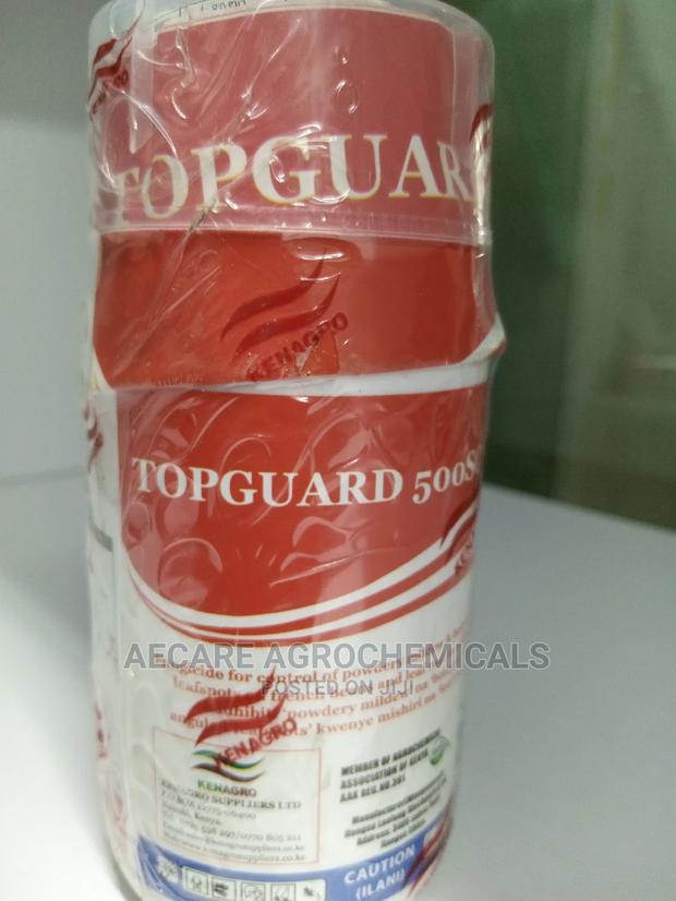 Top Guard 500sc Fungicide 250ml