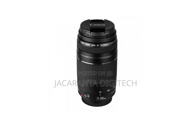 Canon Ef 75-300mm F/4-5.6 Iii Lens
