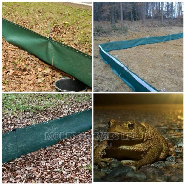 Amphibious Fence, Toad Fence - main view
