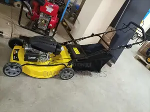 Lawn Mower Machine 5.5hp Self Propelled