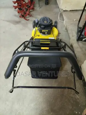 Wasp Lawn Mower Machine 5.5hp