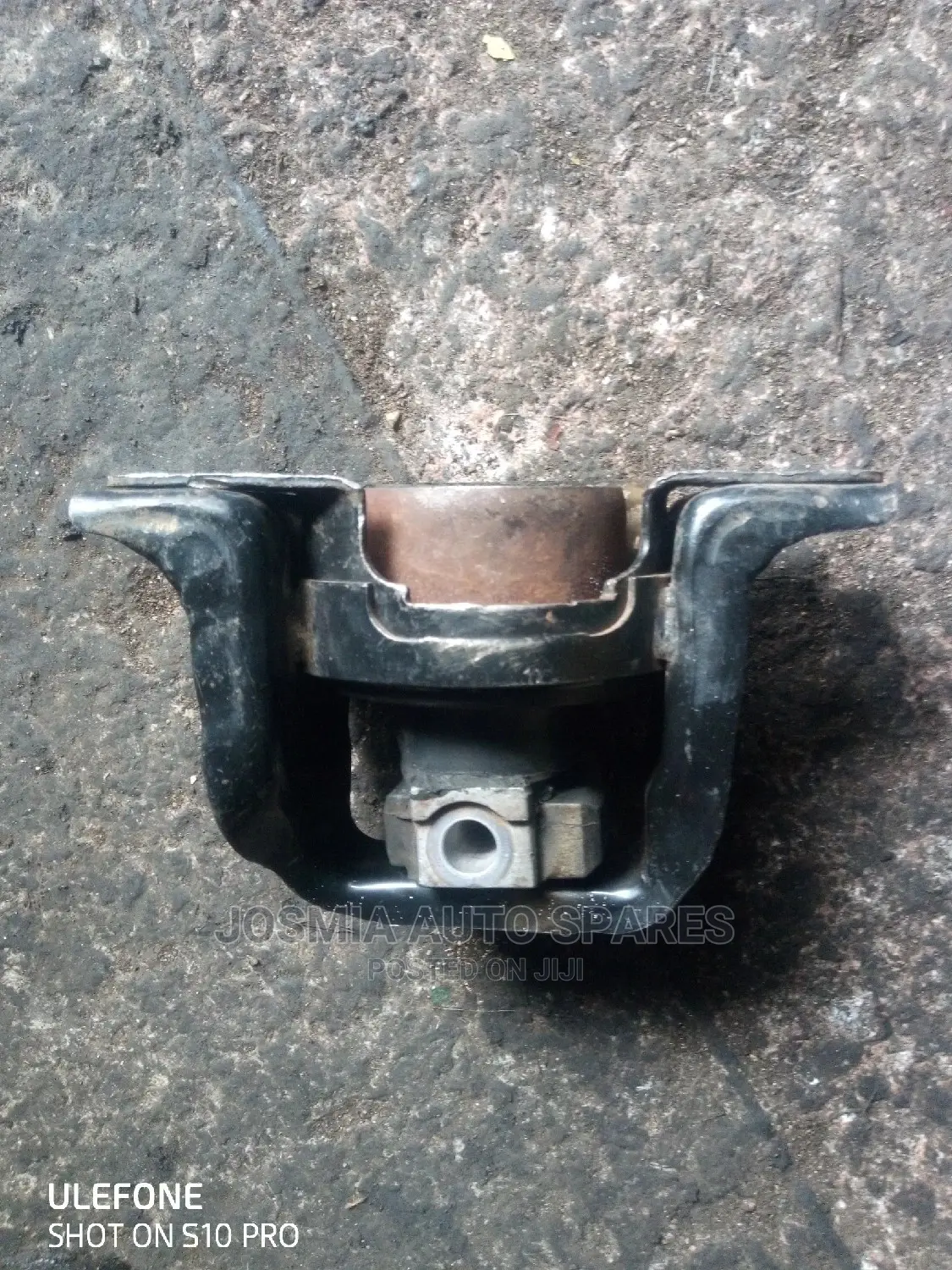 Bluebird Engine Mount