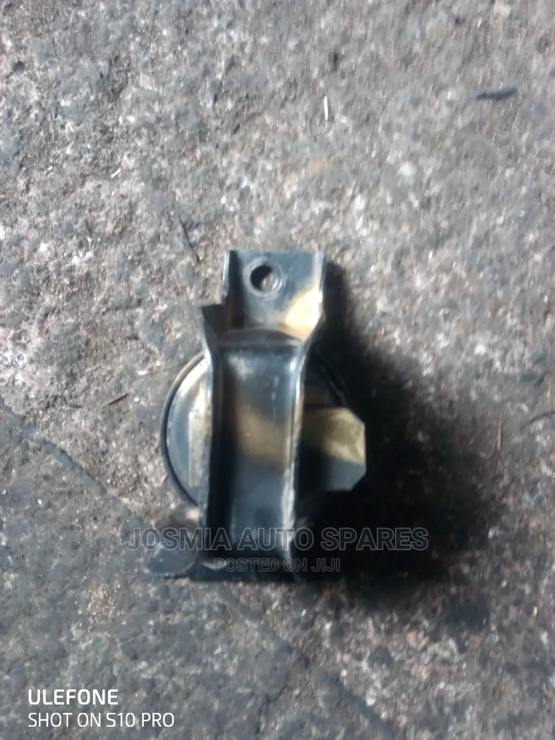 Bluebird Engine Mount
