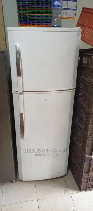 LG Double Door Fridge
