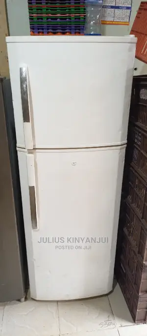 LG Double Door Fridge
