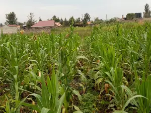 Plot for Sale in Maili Sita St Marks