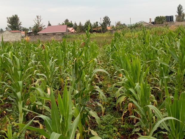 Plot for Sale in Maili Sita St Marks