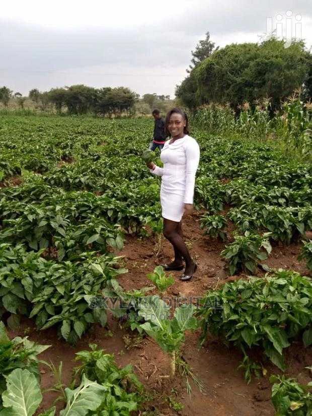 Prime Land for Sale - main view