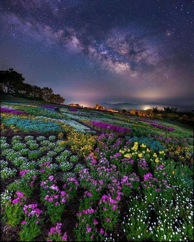 Prime Land for Sale - thumbnail 6