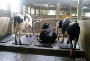 Cow Matteress 5 X 3ft : 4kg : 13mm Thickness