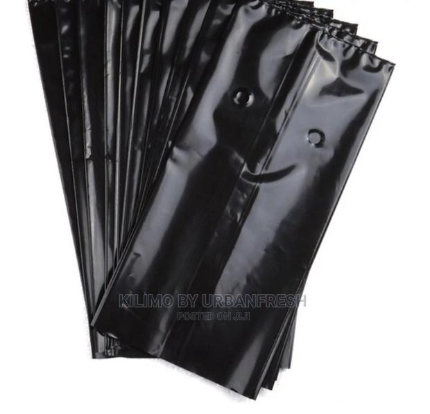 Seedlings / Planter Bags - main view