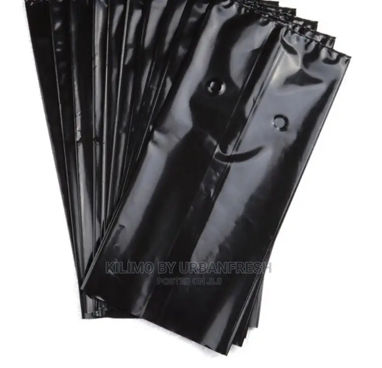Seedlings / Planter Bags
