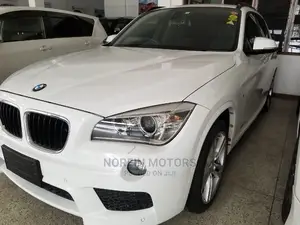 BMW X1 2014 White