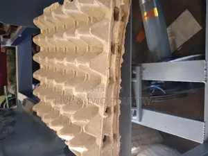 Brown Paper Trays