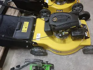 Wasp Lawn Mower