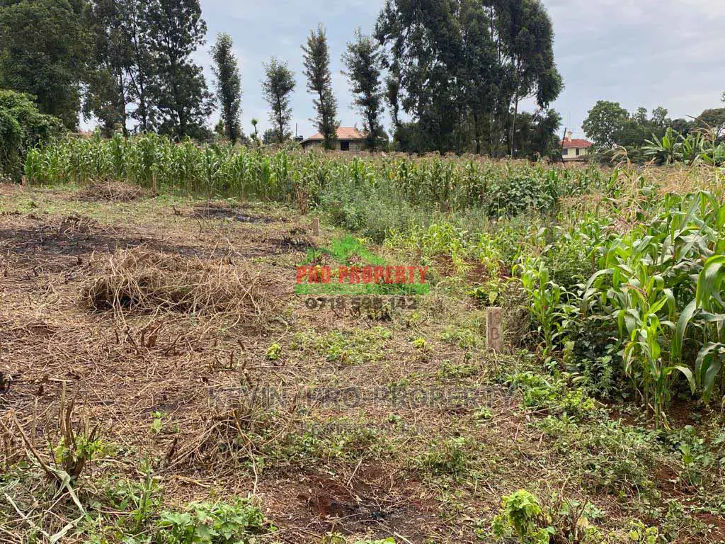 Residential Plot for Sale in Gitaru Along the Western Bypass