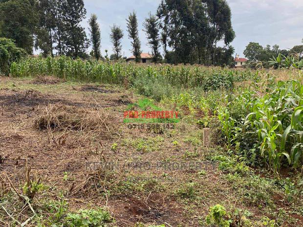 Residential Plot for Sale in Gitaru Along the Western Bypass - thumbnail 7