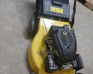 Self Propelled Wasp Lawn Mower