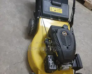 Self Propelled Wasp Lawn Mower