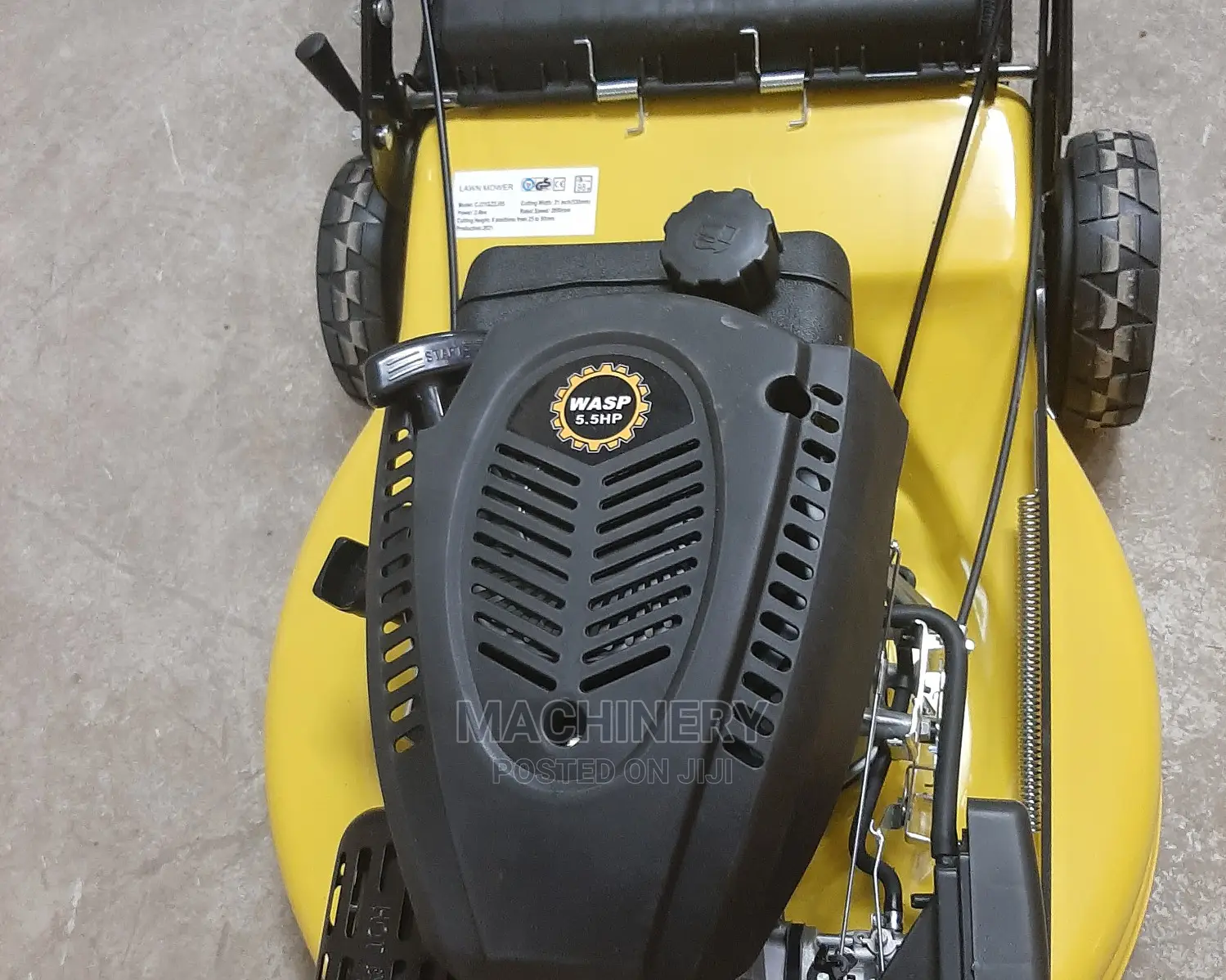 5.5hp Self Propelled Wasp Lawn Mower