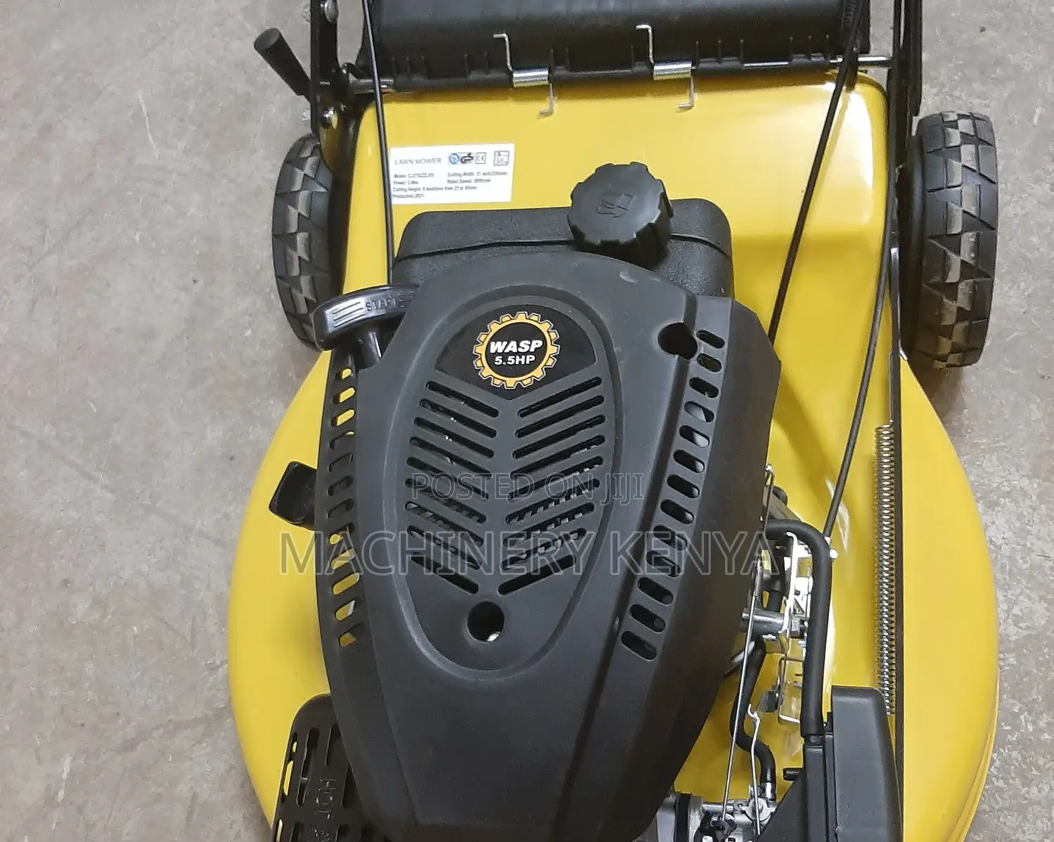 5.5hp Self Propelled Wasp Lawn Mower