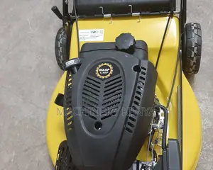 5.5hp Self Propelled Wasp Lawn Mower