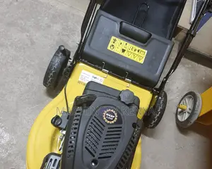 Brand New Wasplawn Mower