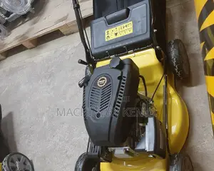 Wasp 4hp Lawn Mower