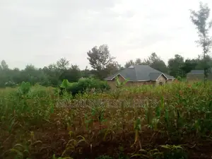 Half an Acre on Sale at Methi.