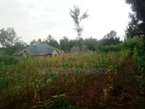Half an Acre on Sale at Methi.