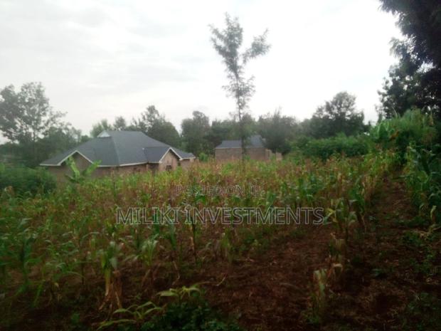 Half an Acre on Sale at Methi. - thumbnail 5