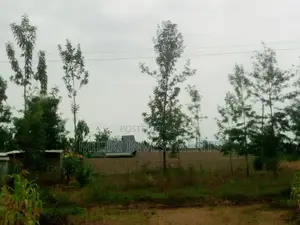40 by 80 on Sale at Kabati.
