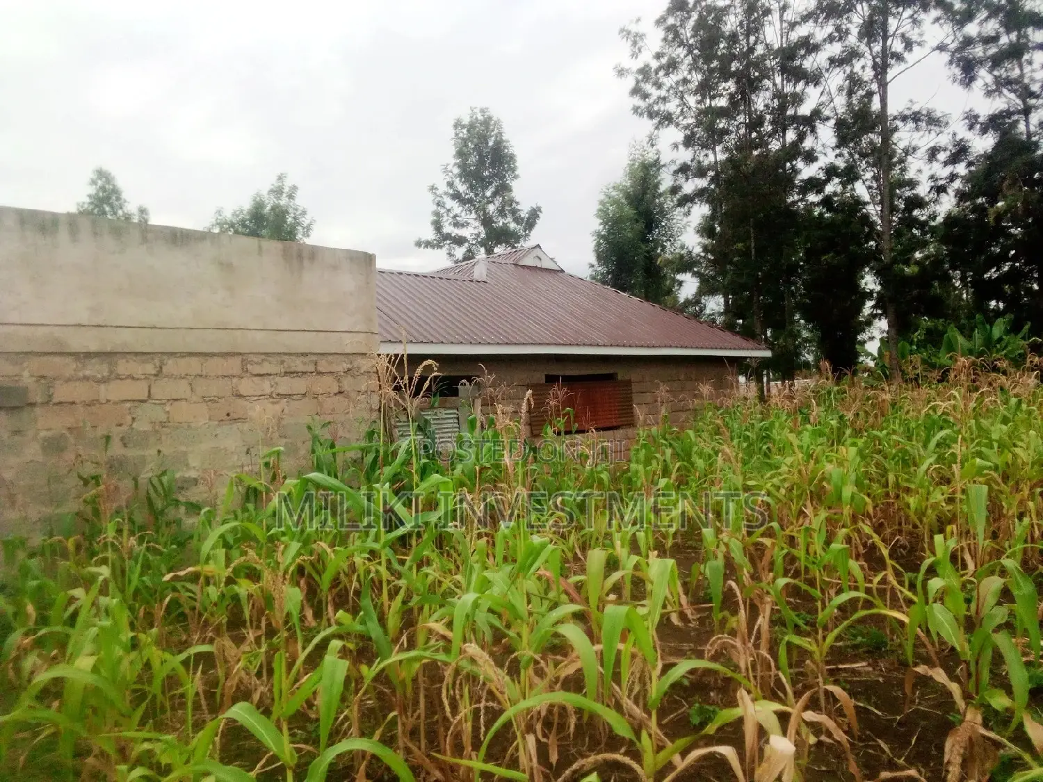 40 by 80 on Sale at Kabati.