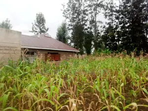 40 by 80 on Sale at Kabati.