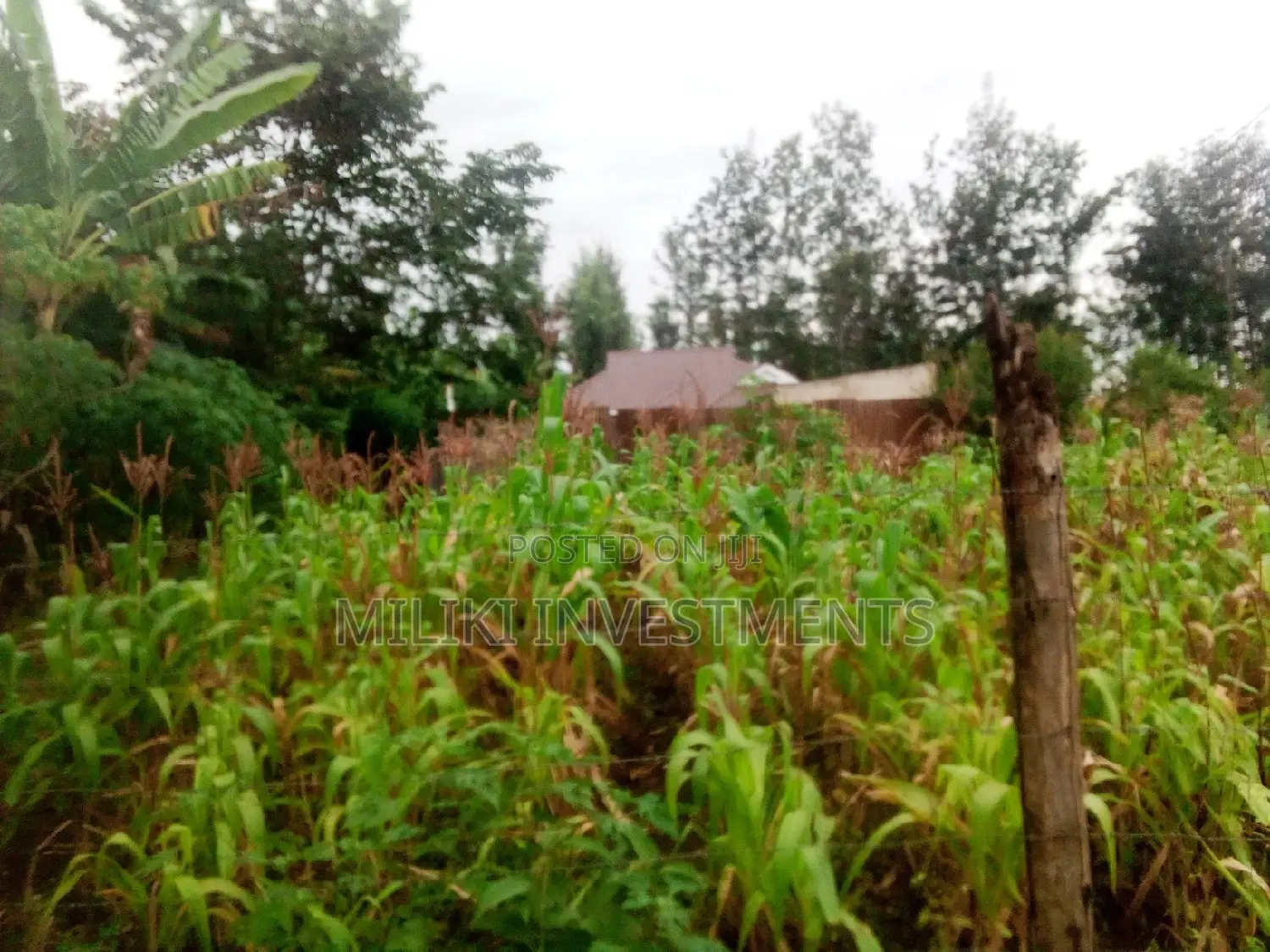 40 by 80 on Sale at Kabati.