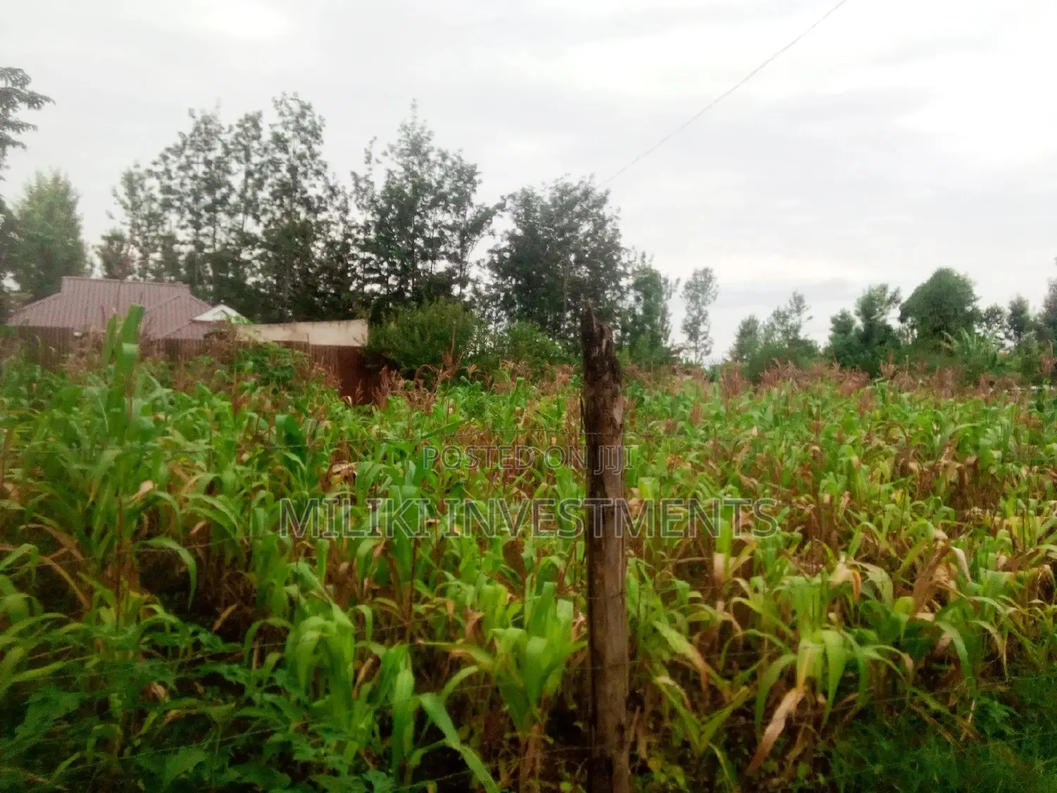 40 by 80 on Sale at Kabati.