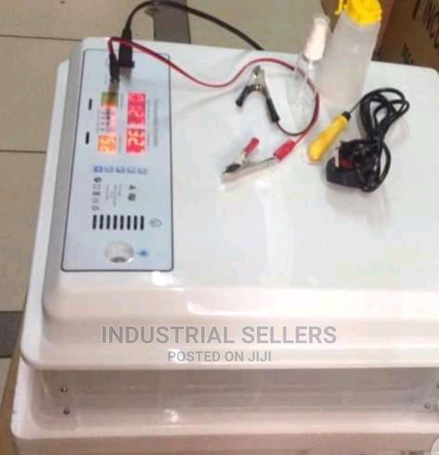 Highly Rated 104 Automatic Incubator