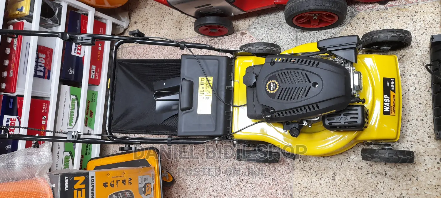 Wasp Gasoline Lawn Mower 4.5horsepower