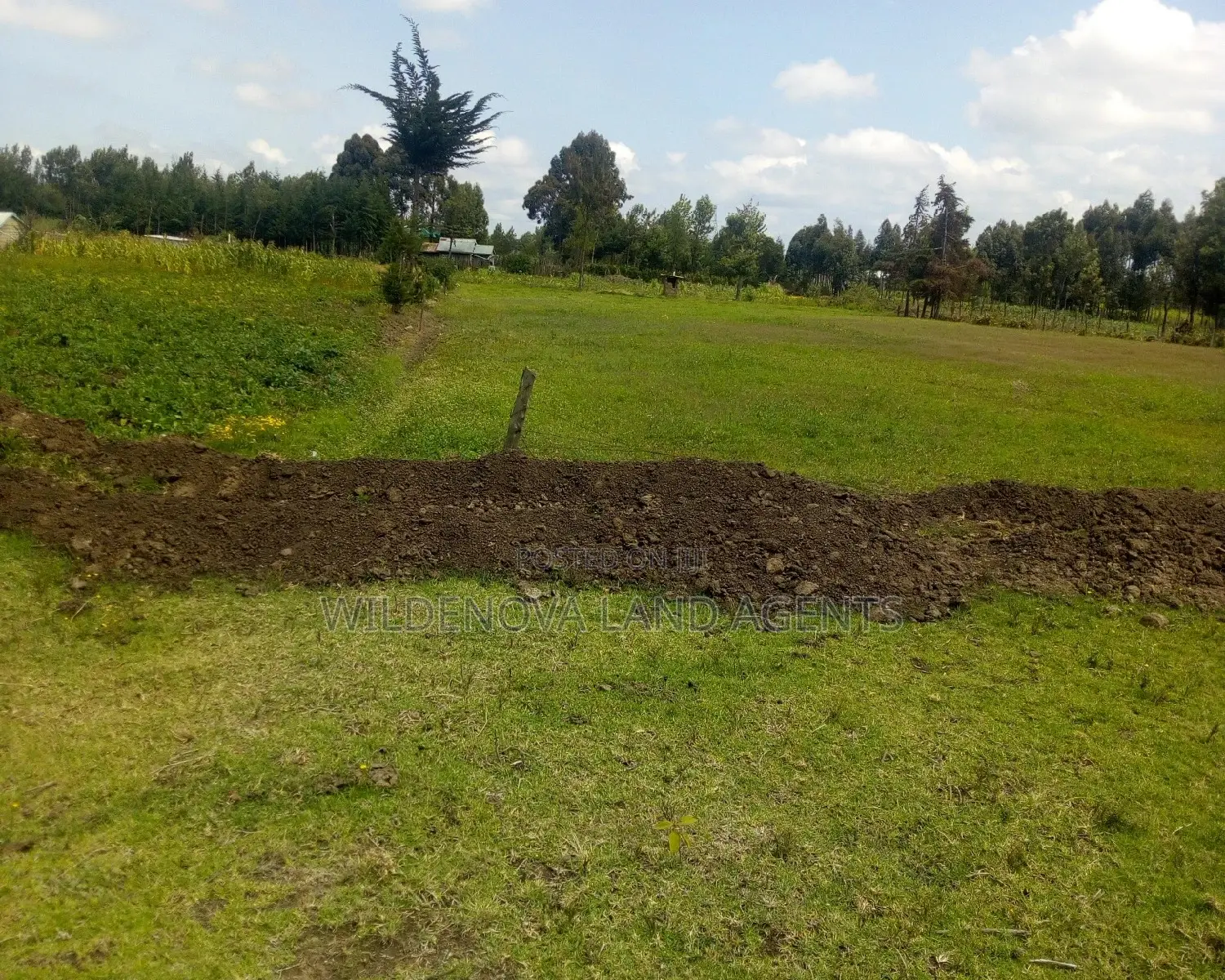 1 Acre on Sale Naivasha Along the Highway