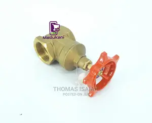 1.25 Inch Brass Gate Valve
