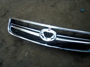 Fielder 2010 Grill