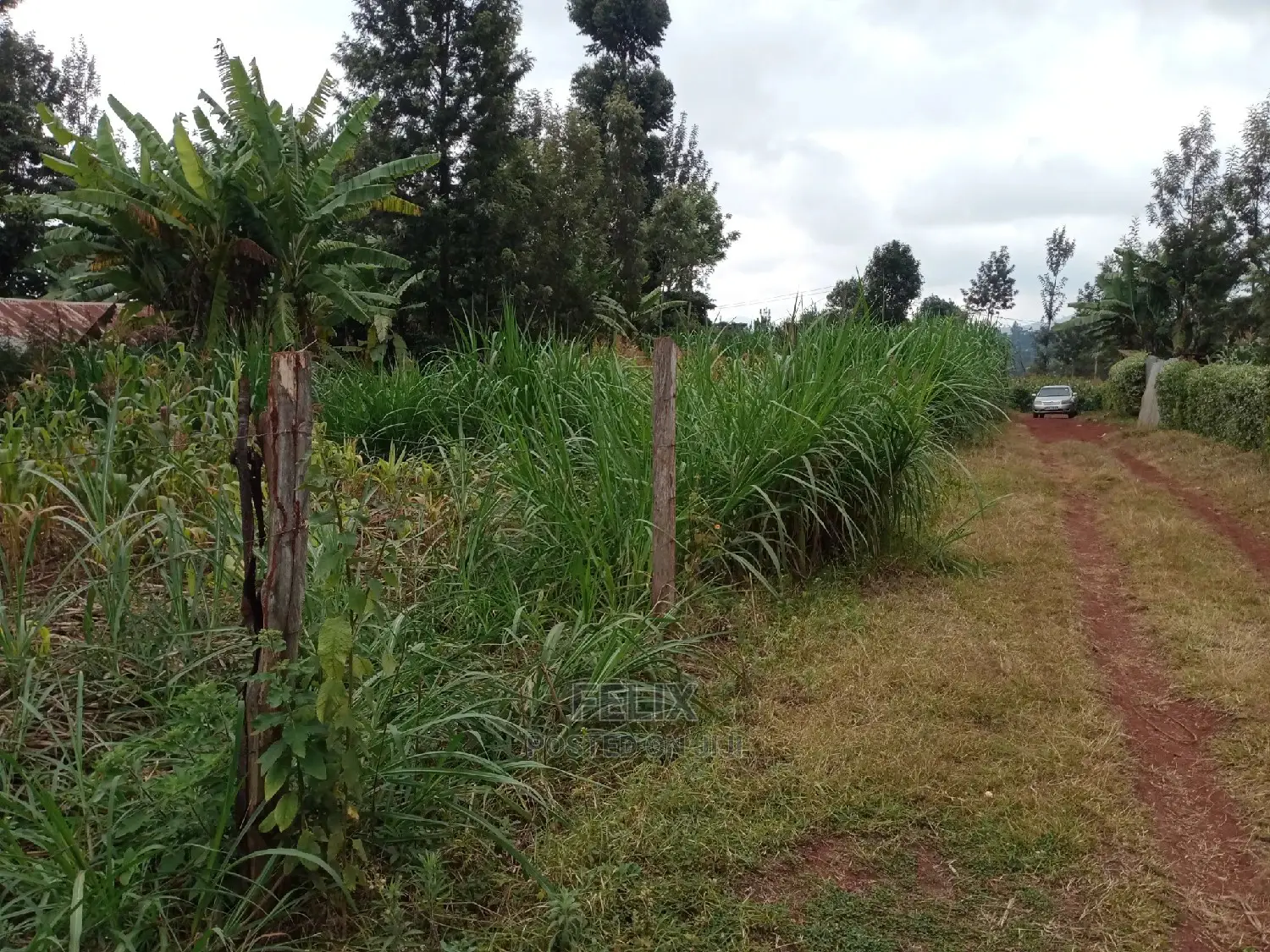 1/4 Plot on Sale in Kianjogu Karatina