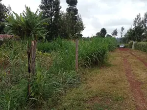 1/4 Plot on Sale in Kianjogu Karatina