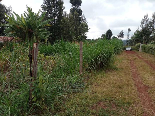 1/4 Plot on Sale in Kianjogu Karatina