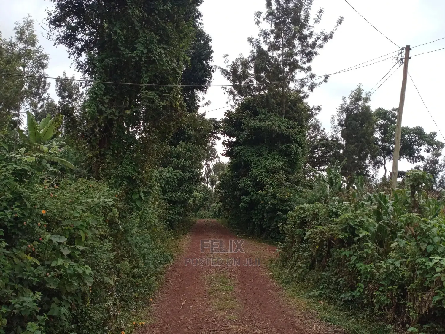 1/4 Plot on Sale in Kianjogu Karatina