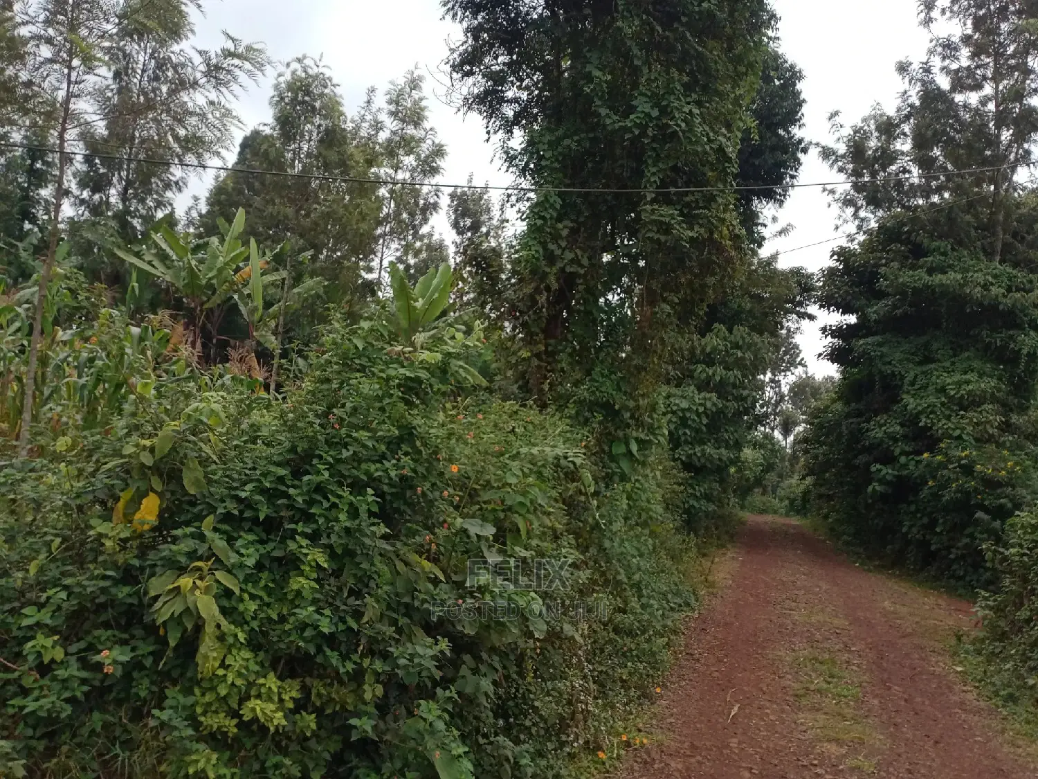 1/4 Plot on Sale in Kianjogu Karatina