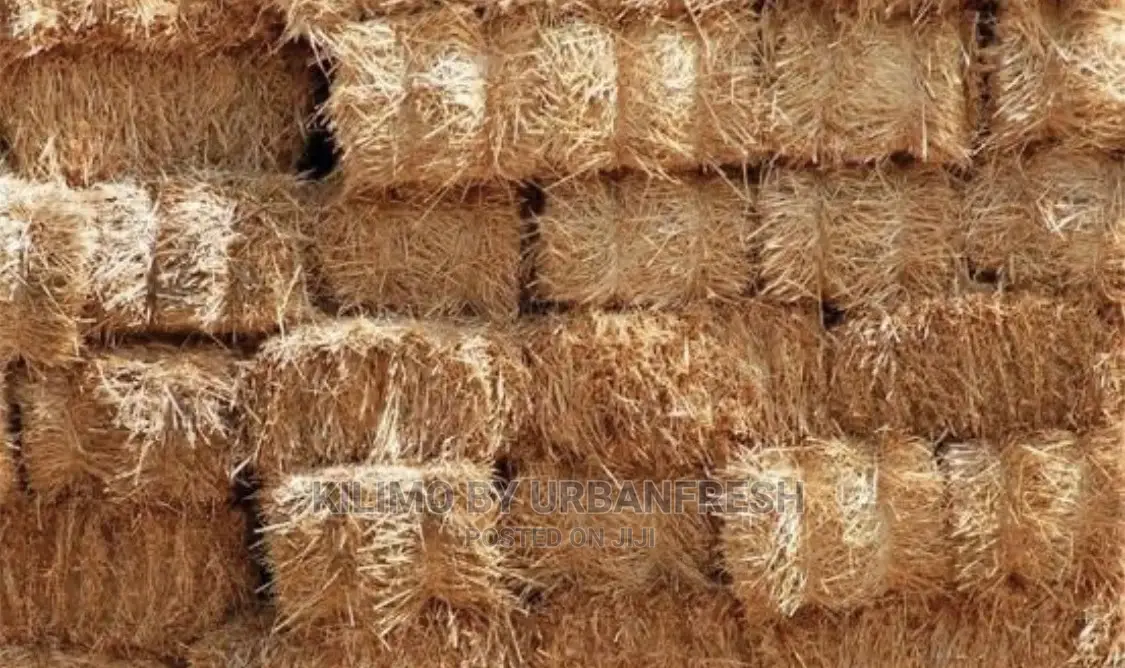 Boma Rhodes Hay Per Bale