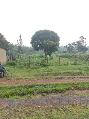 1/4 Acre at Kaburengu Junction Along Eldoret-Webuye Highway