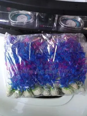 Plants Aquarium Plastic Plants